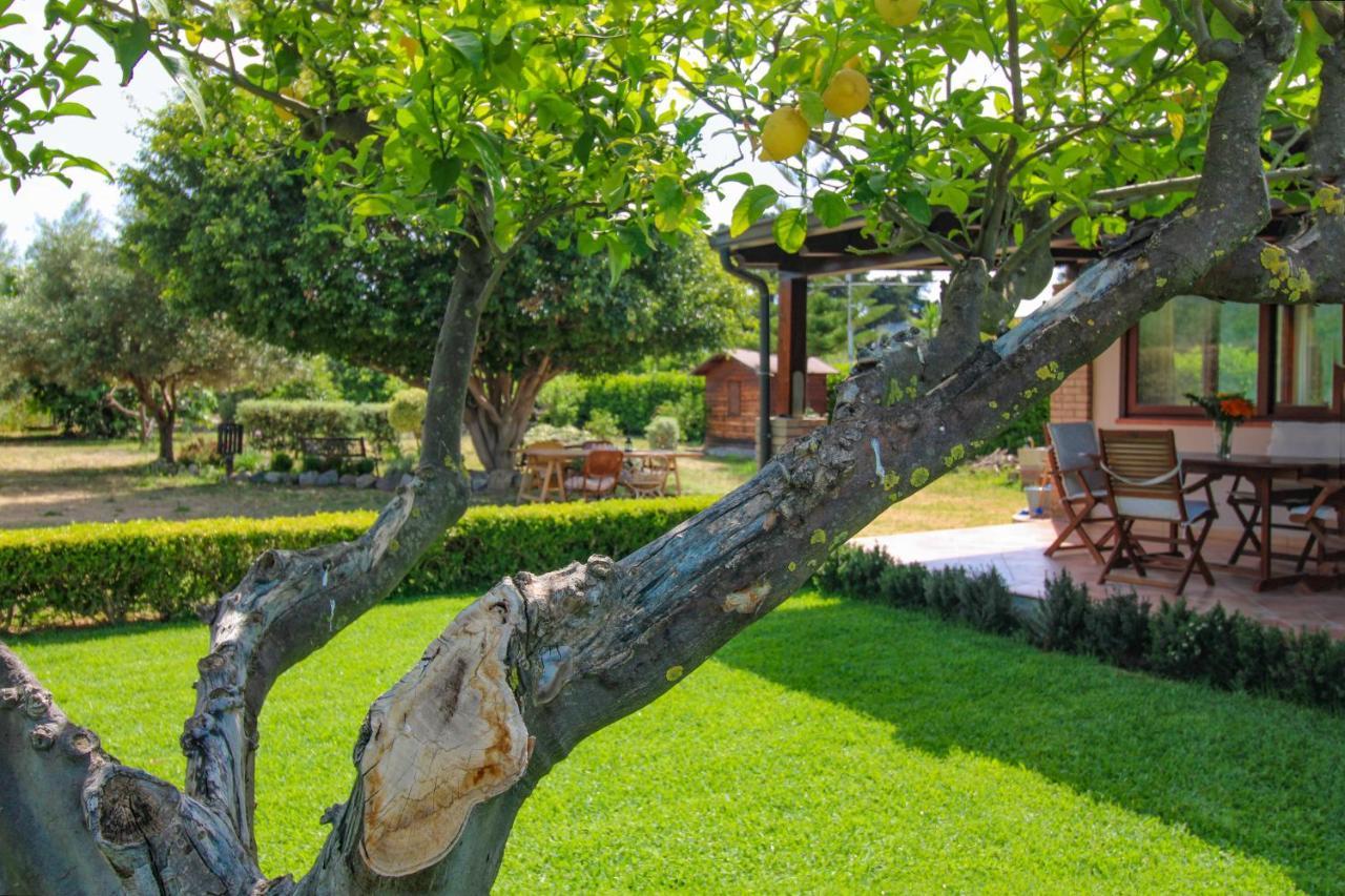 הוילה La Casa Di Lina - Capo D'Orlando, Casa Con Ampio Giardino מראה חיצוני תמונה